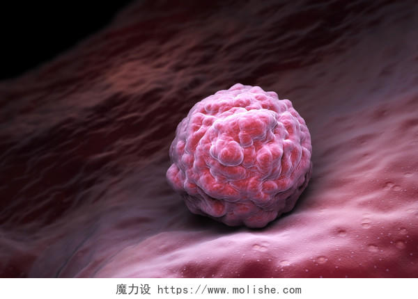 胚胎干细胞血液细胞人体器官透视图身体内部血管器官